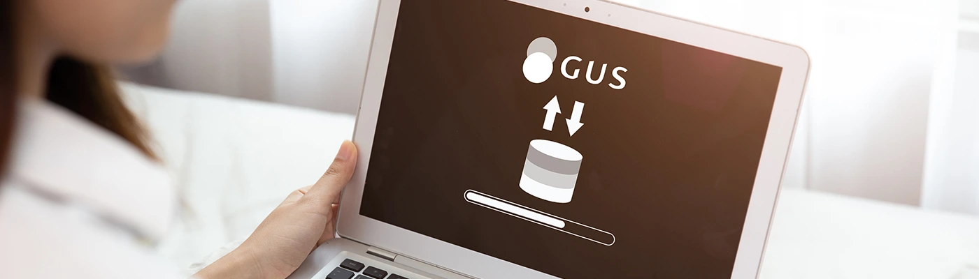 Pobieranie danych z GUS - dokumenty.pl